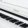 Цифровой рояль PIANOVA RG-110 Polish White