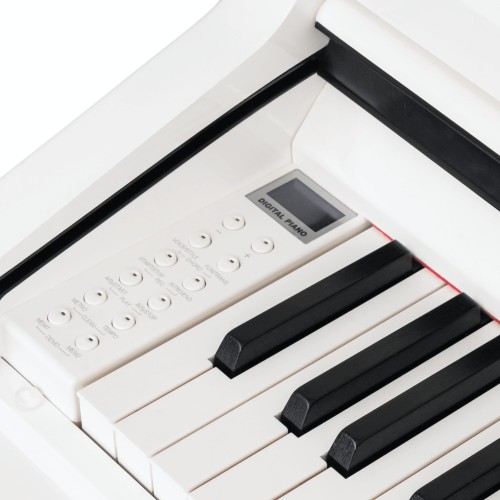 Цифровой рояль PIANOVA RG-110 Polish White