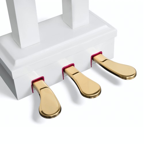 Цифровой рояль PIANOVA RG-110 Polish White