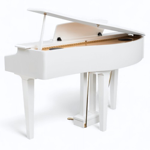 Цифровой рояль PIANOVA RG-110 Polish White