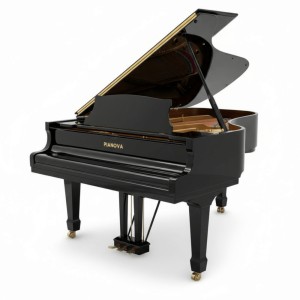 Цифровой рояль PIANOVA RG-510 Polish Black