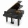 Цифровой рояль PIANOVA RG-510 Polish Black