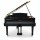 Цифровой рояль PIANOVA RG-510 Polish Black