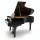 Цифровой рояль PIANOVA RG-510 Polish Black