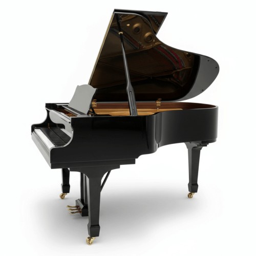 Цифровой рояль PIANOVA RG-510 Polish Black