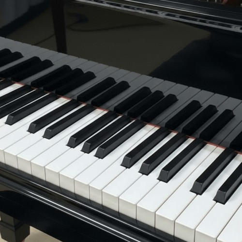 Цифровой рояль PIANOVA RG-510 Polish Black