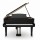 Цифровой рояль PIANOVA RG-510 Polish Black