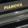 Цифровой рояль PIANOVA RG-510 Polish Black