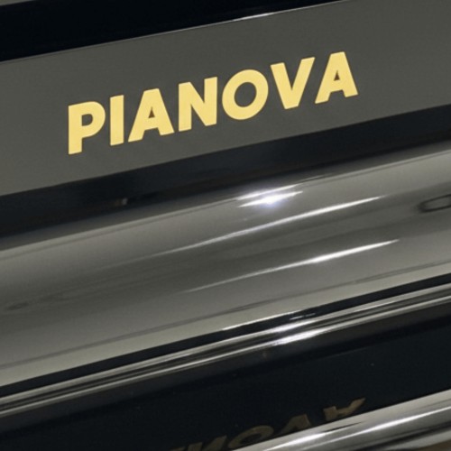 Цифровой рояль PIANOVA RG-510 Polish Black