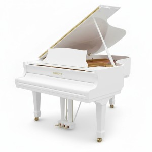 Цифровой рояль PIANOVA RG-510 Polish White