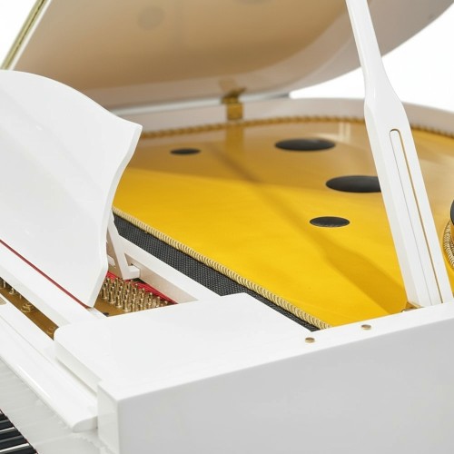 Цифровой рояль PIANOVA RG-510 Polish White