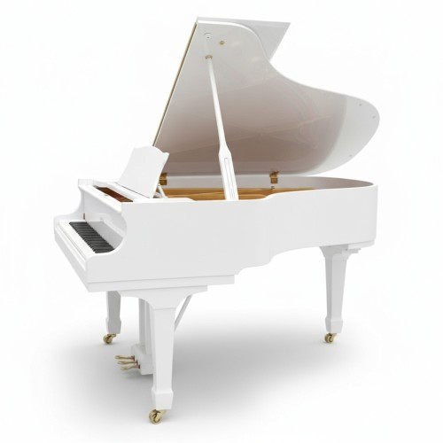 Цифровой рояль PIANOVA RG-510 Polish White