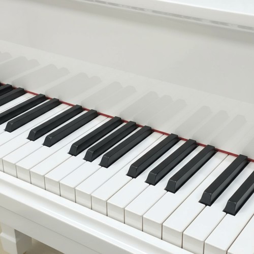 Цифровой рояль PIANOVA RG-510 Polish White