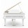 Цифровой рояль PIANOVA RG-510 Polish White