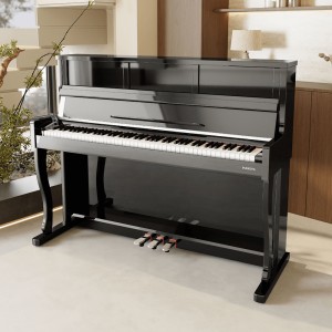 Цифровое пианино PIANOVA R220 BK PE