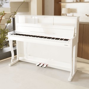 Цифровое пианино PIANOVA R220 WH PE