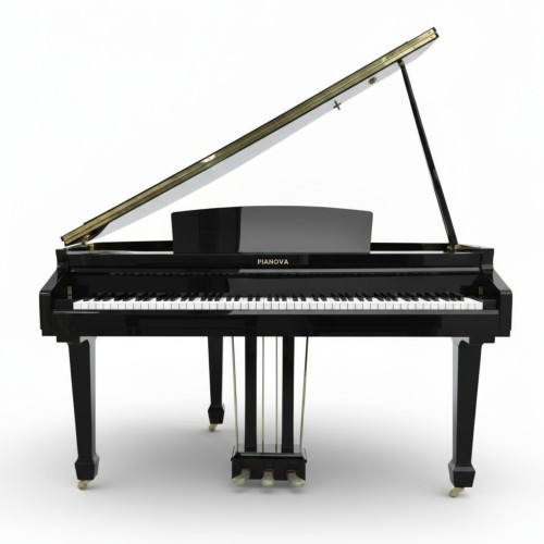 Цифровой рояль PIANOVA RG-210 Polish Black