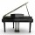 Цифровой рояль PIANOVA RG-210 Polish Black