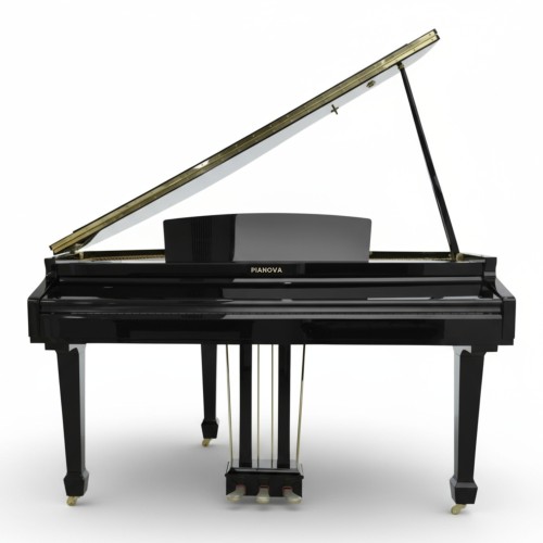 Цифровой рояль PIANOVA RG-210 Polish Black