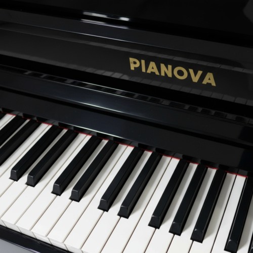 Цифровой рояль PIANOVA RG-210 Polish Black