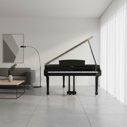 Цифровой рояль PIANOVA RG-210 Polish Black