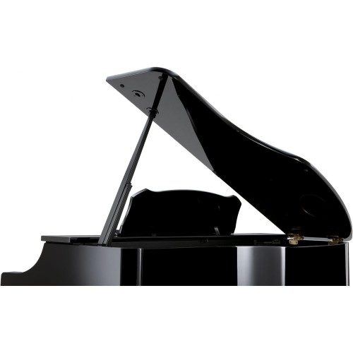 Цифровое пианино Roland RG-3F