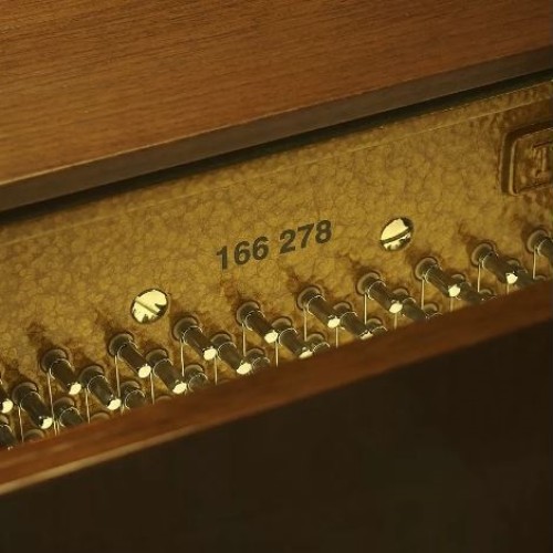 Акустическое пианино W.Hoffmann Tradition T-122 POP