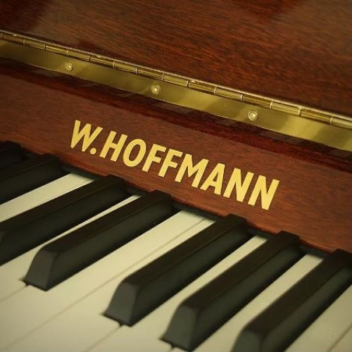 Акустическое пианино W.Hoffmann Vision V-112 PM