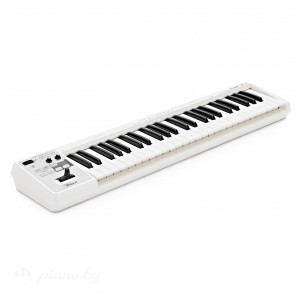 MIDI-клавиатура Roland A-49-WH