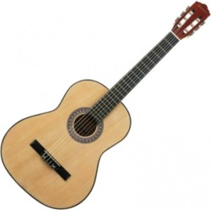 Классическая гитара Terris TC-395A NA