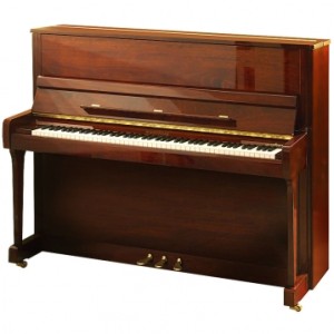 Акустическое пианино W.Hoffmann Vision V-120 PM