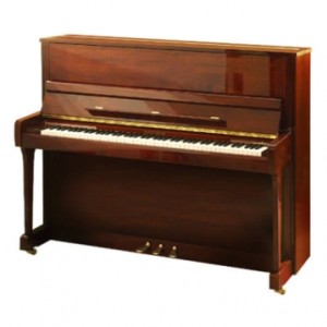 Акустическое пианино W.Hoffmann Vision V-120 POP