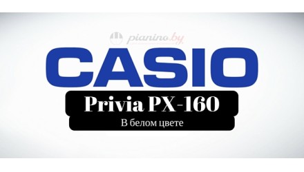 Новый цвет популярной модели от Casio!