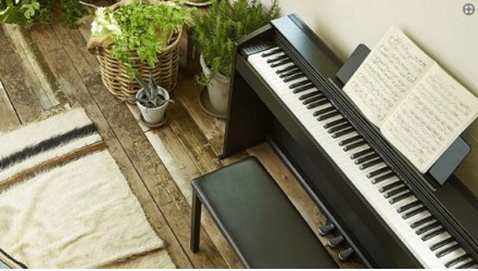 Обзор и сравнение пианино Casio Privia PX-770 и PX-870