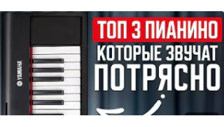 Три бюджетных чемпиона: NYX NPK 10, Pearl River P60 и Pianova MA 80 в честном сравнении